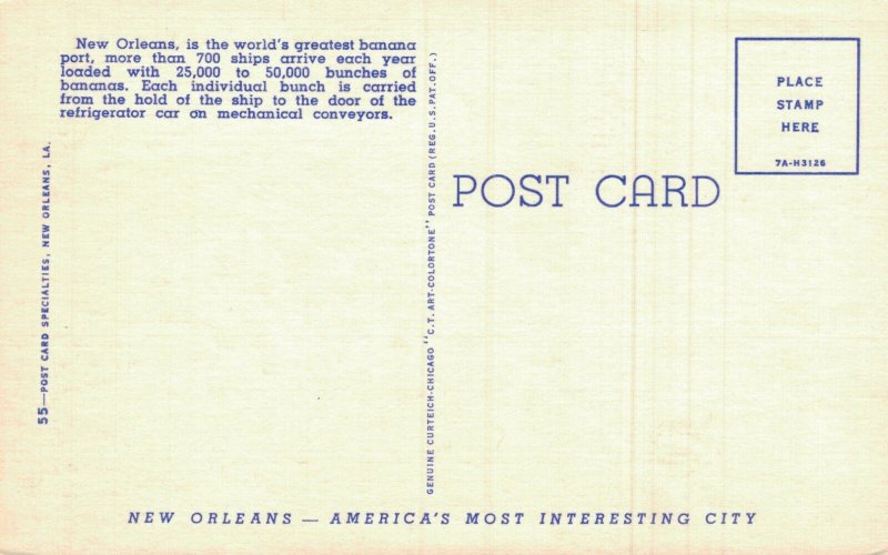 USA Unloading Bananas From Ship Side New Orleans 05.47