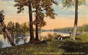 View on grand River Grand Rapids, Michigan, USA R.P.O., Rail Post Offices PU ...