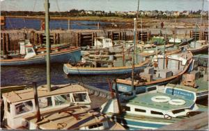 Tuna Fleet Wedgeport NS Fishing Boats Violet & Willard Boat Unused Postcard D69