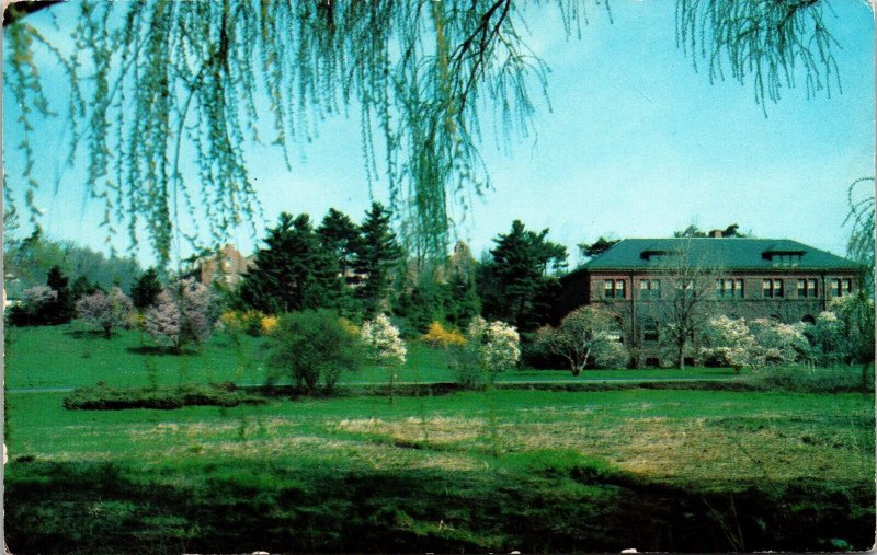 Magnolias Forsythias Admin Bldg Arnold Arboretum Postcard UNP VTG Tichnor Unused 