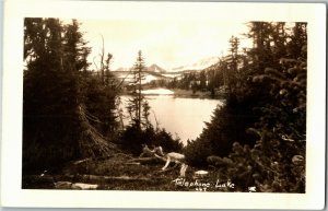 RPPC View Overlooking Telephone Lake, CA Vintage Postcard I37