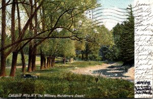 New York Catskills Murderer's Creek The Willow 1905