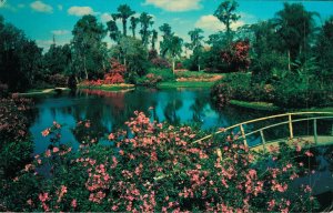 USA Famous Cypress Gardens Florida Chrome Postcard 07.34