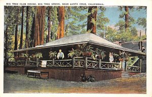 Big Tree Club House, Big Tree Grove Santa Cruz California  