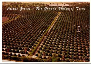 Texas Rio Grande Valley Aerial View Of Citrus Groves