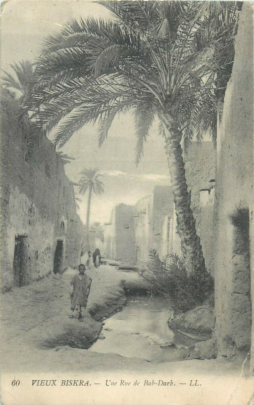 Algeria Biskra Bab-Darb street view community life palm tree vintage postcard