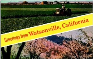 Greetings From Watsonville California
