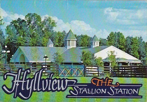 Florida Reddick Hyllview Farms Hyllview The Stallion Station