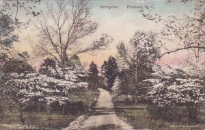 Springtime Pinehurst Nouth Carolina Handcolored Albertype 1918