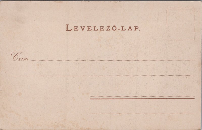 Hungary Budapest Central-Markthalle Vintage Postcard C387