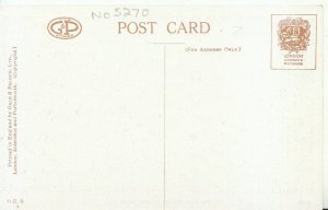 Middlesex Postcard - The Maze - Hampton Court Palace - Ref 9106A