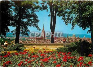 Modern Postcard Bern The Garden of Roses