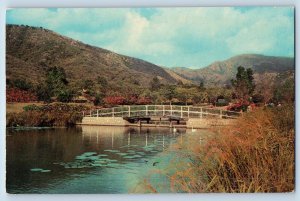 Hope Kingston Jamaica Postcard Royal Botanic Gardens c1950's Vintage Unposted