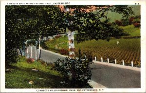 Beauty Spot Along Taconic Trail East Side Connects Williamson Mass NY Postcard 