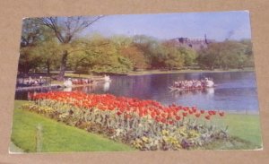 1956 USED POSTCARD - SWAN BOATS & TULIPS, PUBLIC GARDENS, BOSTON, MASSACHUSETTS