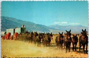 Postcard - Twenty Mule Team - California