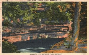 Vintage Postcard 1930's Echo River Mammoth Cave National Park Kentucky KY