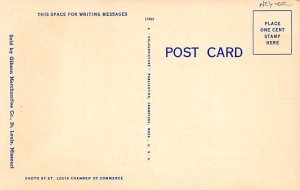 Happy, The Giant Panda St Louis, Missouri, USA Bear Postcard