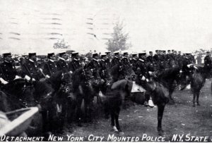 New York City Police Mounted Police Horses State Fair Postcard New York