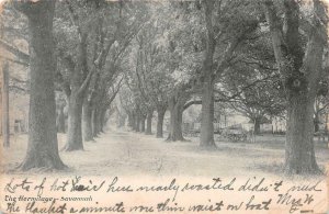 THE HERMITAGE SAVANNAH GEORGIA BLACK AMERICANA POSTCARD 1904