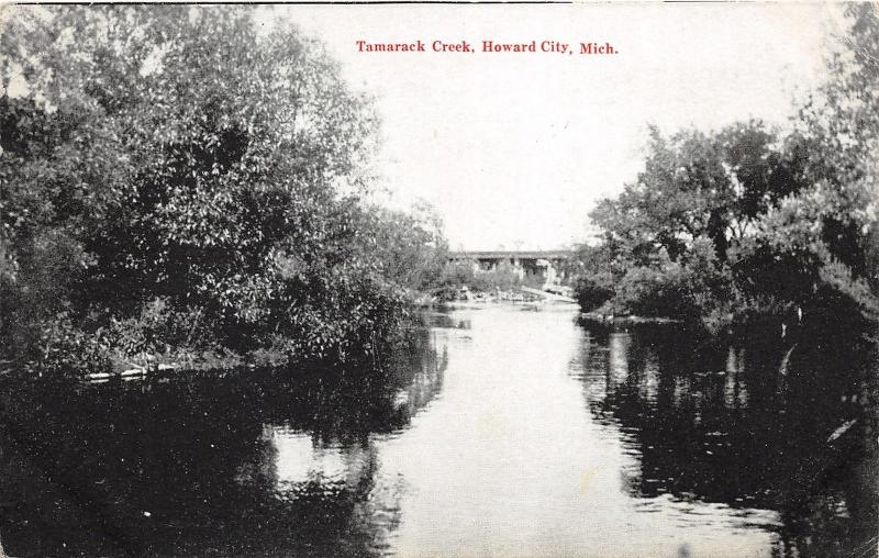 Howard City Michigan~Tamarack Creek Scene~Bridge in Bkgd~1908 B&W Postcard