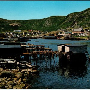 c1960s Petty Harbour, NL Fish Nets Catch Postcard Drying Sun Newfoundland S-1866