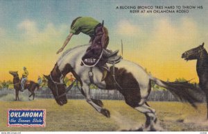 OKLAHOMA, 1930-1940's; A Bucking Bronco Tries Hard To Throw His Rider At An O...