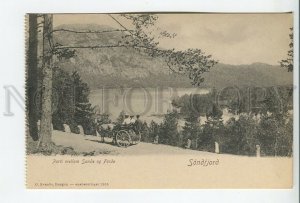 460234 NORWAY 1905 Sondfjord Parti mellem Sande og Forde Horse carriage Vintage