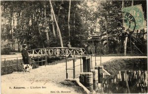 CPA Auxerre - L'Arbre Sec FRANCE (960559)