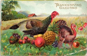 Postcard Thanksgiving Greetings - Turkeys in field with fruit