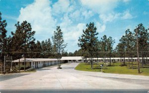 Folkston, GA Georgia  GREENLAND MOTEL Roadside CHARLTON COUNTY Chrome Postcard