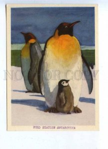 201899 USSR ANTARCTICA penguins Nikolsky US Byrd Station mark