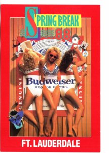 Large 5 X 7 Budweiser Women in Bathing Suits, Spring Break, Fort Lauderdale 1988