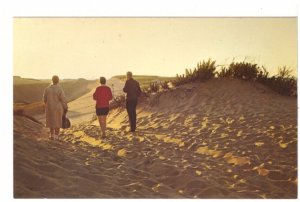 Twilight On The Dunes, Cape Cod, Massachusetts, Vintage Chrome Postcard