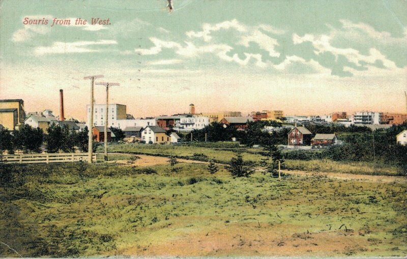 Canada Souris from the West Vintage Postcard 07.31