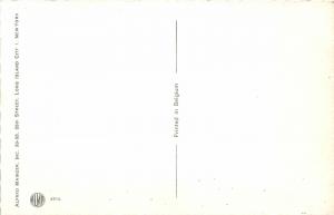 F60/ Alfred Mainzer Dressed Cats Postcard c1940s Maid Spills Milk 17