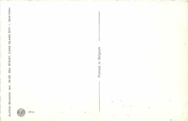 F60/ Alfred Mainzer Dressed Cats Postcard c1940s Maid Spills Milk 17