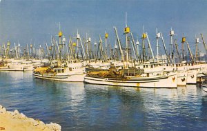 Fishing Fleet at Anchor San Pedro California  