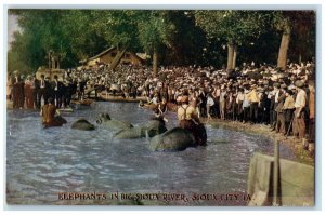 c1910 Elephants Big Sioux River Bath Exterior Sioux City Iowa Vintage Postcard