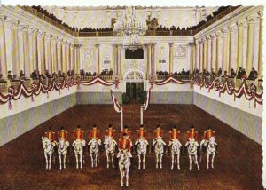 Austria Postcard - Vienna - Spanish Court Riding School - Salute -  Ref 13888A
