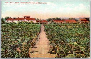 Wine Cellars Italian Swiss Colony Asti California CA Farm View Postcard
