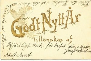 Godt Nytt Ar Tillonskas af Happy New Year postcard Brevkort Swedish 1907