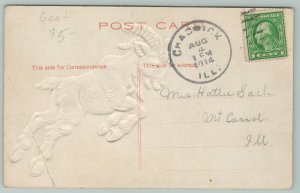 Comic Pun~A Good Place to Butt In~Embossed Goat~c1910 Postcard