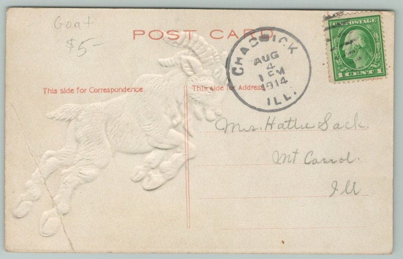 Comic Pun~A Good Place to Butt In~Embossed Goat~c1910 Postcard
