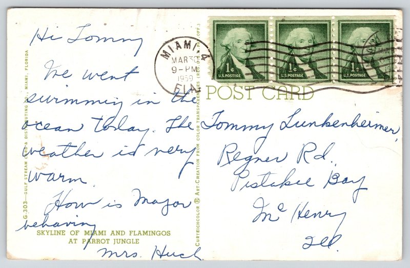 Miami FL Banner Greetings~Miami Skyline~Flamingos At Parrot Jungle~1959 PC