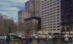 Carriages - New York City s, New York NY  