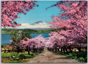 Mt. Ezo-Fuji Shore Of Lake Doya Shikotsu-Doya National Park Japan Postcard
