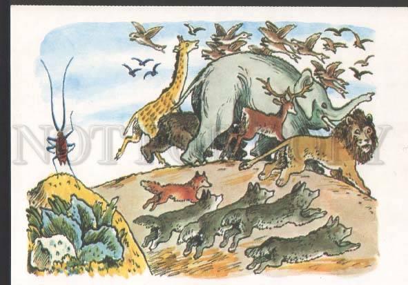 118808 Giant Roach & LION & ELEPHANT FOX WOLF old Russian PC