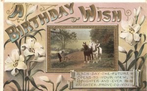 Horses and rider in the fields. Birthday Message. Flowers Old vintage English