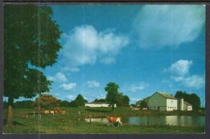 Dairy Farm,PA BIN